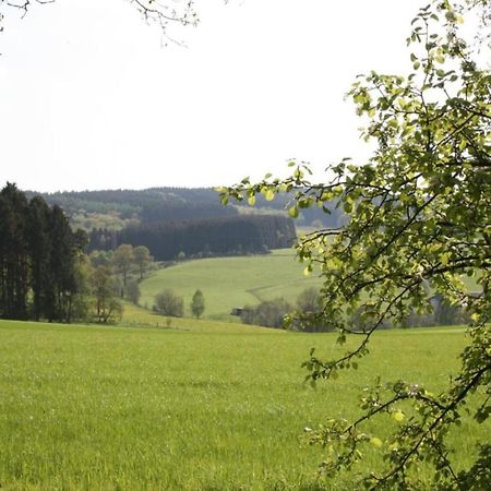Vacation Home With Garden In Beautiful Sauerland Kirchhundem Luaran gambar